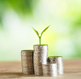 Investment Banking